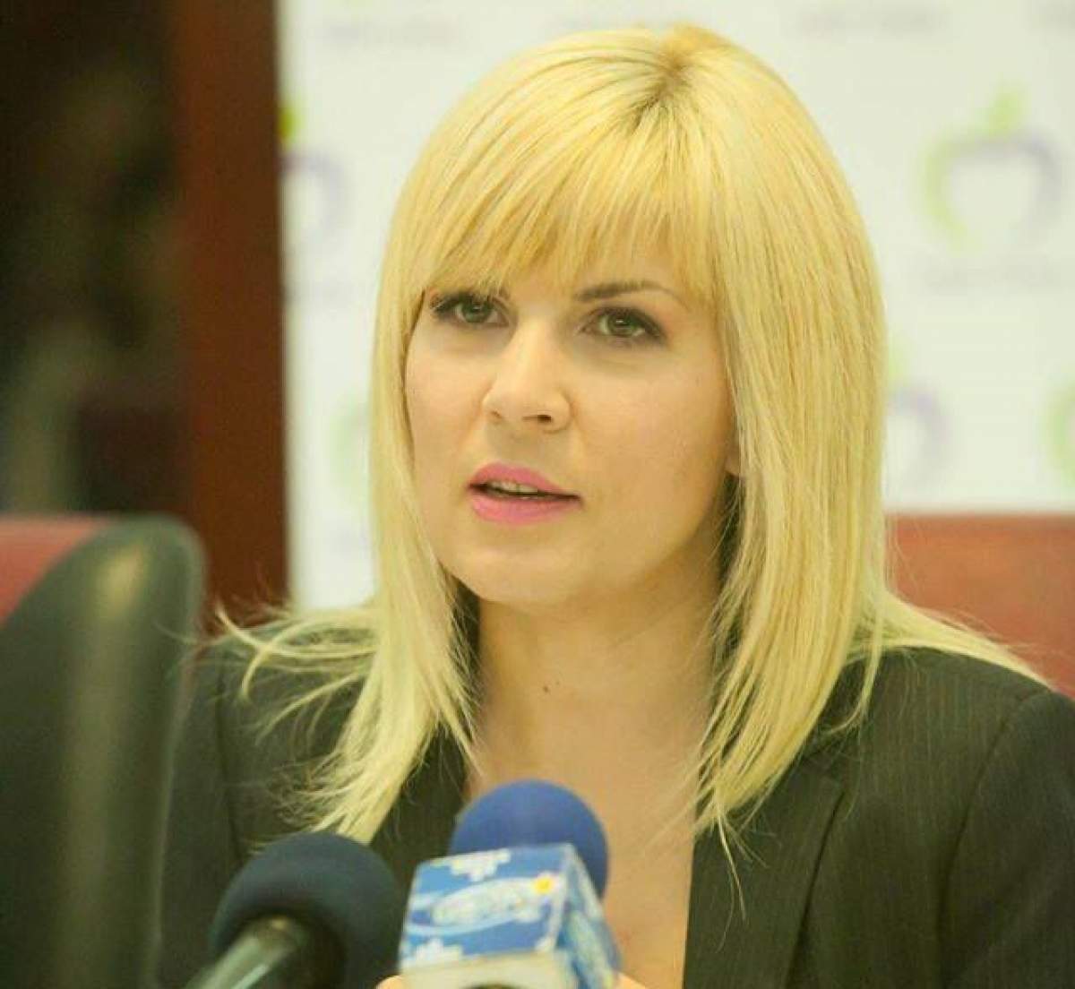 Ce a apărut pe pagina Elenei Udrea după ce PARLAMENTUL a aprobat cererea de ARESTARE