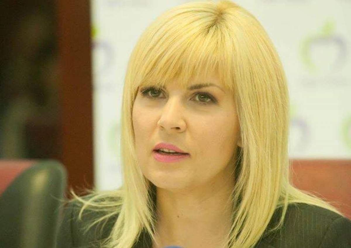 Elena Udrea, din nou la închisoare? Deputaţii au votat începerea urmăririi penale