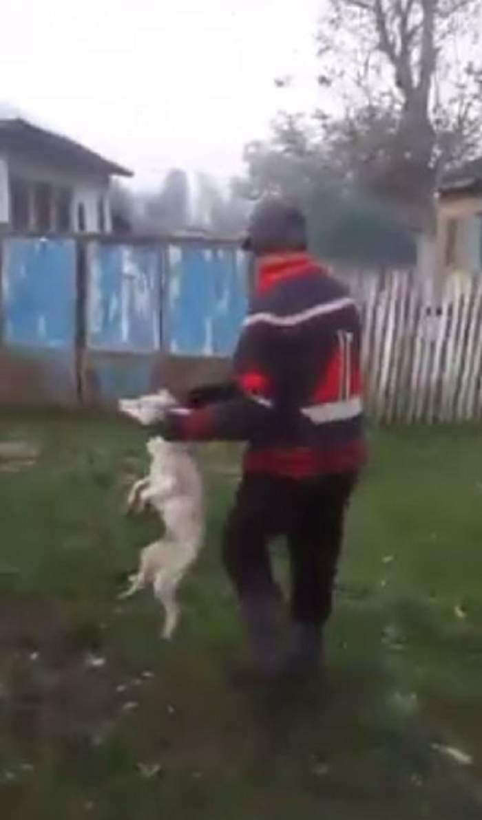 VIDEO / Şocant! Iubitorii de animale trebuie să aibe inima tare ca să vadă ce poate să facă un individ unui câine