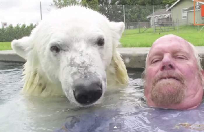 VIDEO / Prietenie inedită! El este singurul bărbat din lume care poate înota cu un urs polar