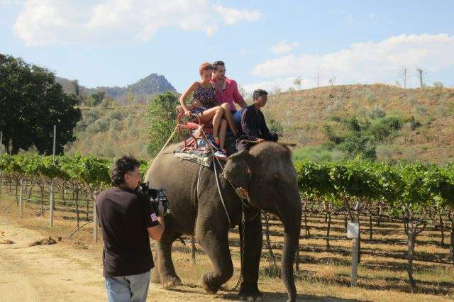 FOTO / Cu cine a dat nas în nas Radu Vâlcan în Thailanda!