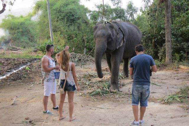 FOTO / Cu cine a dat nas în nas Radu Vâlcan în Thailanda!