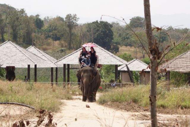 FOTO / Cu cine a dat nas în nas Radu Vâlcan în Thailanda!