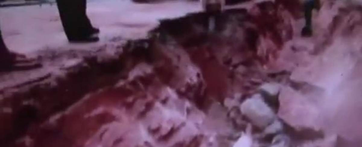 VIDEO / Extraordinar! Au fost descoperite zeci de ouă de dinozaur în centrul unui oraş din China