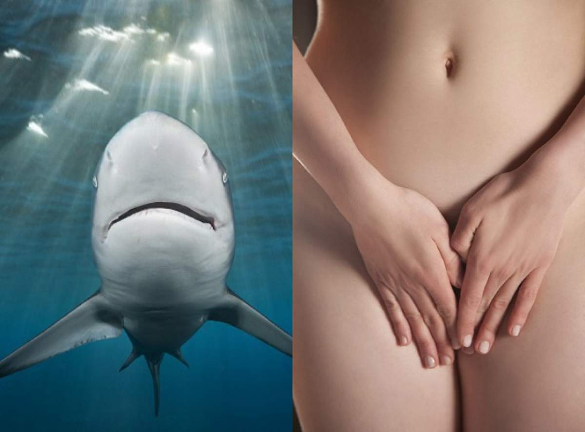 ÎNTREBAREA ZILEI: DUMINICĂ - Ce au în comun vaginul unei femei şi un rechin?