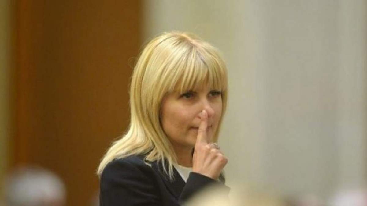 Elena Udrea, transferată la Penitenciarul Târgşor