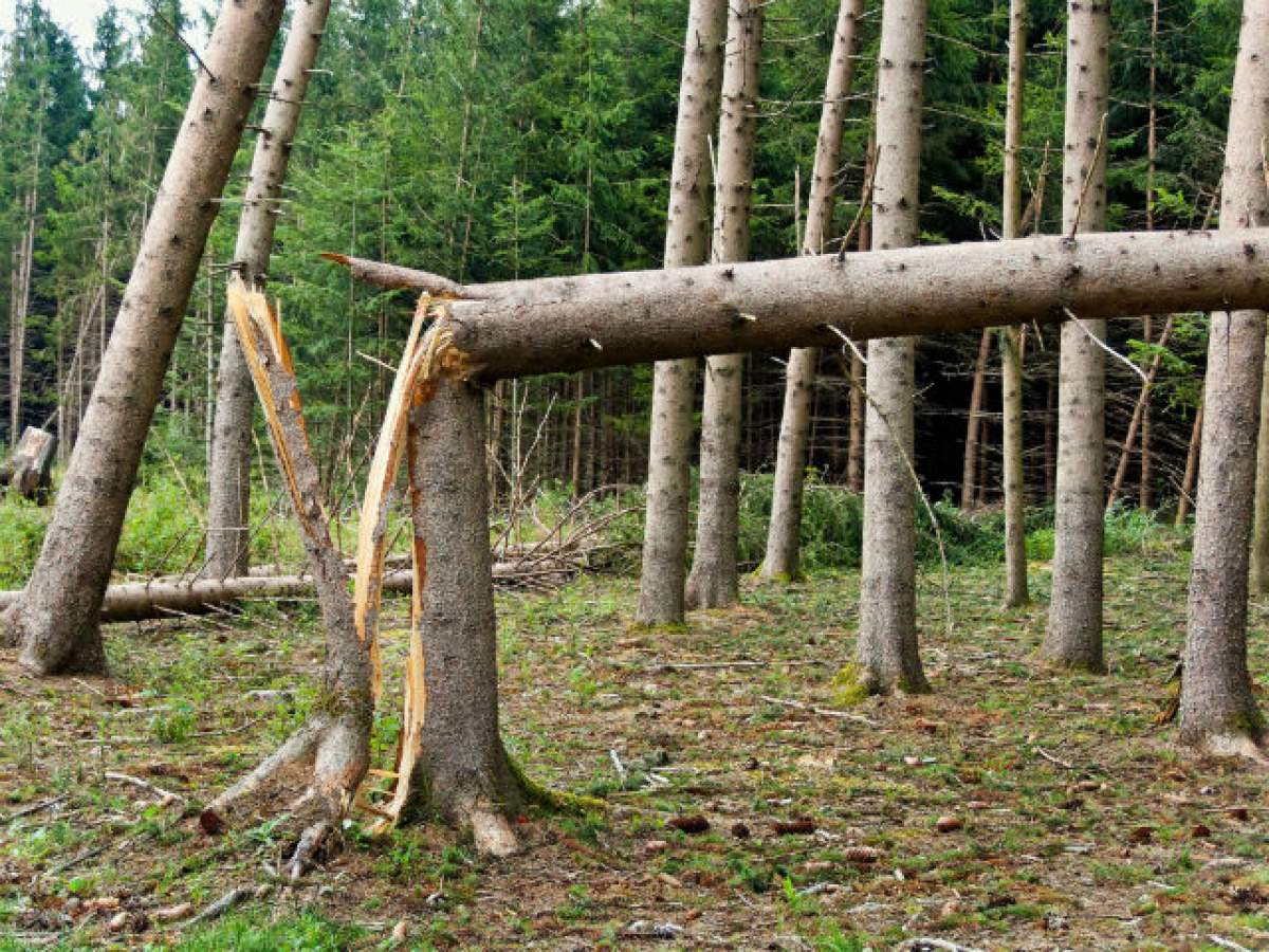 Atenţie! CODUL GALBEN DE VÂNT s-a extins!