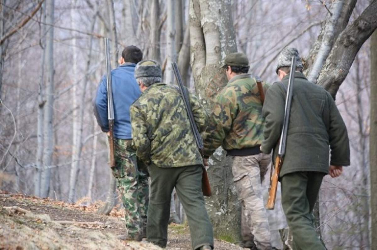 ATENŢIE, IMAGINI ŞOCANTE! Masacru în pădurile din România!