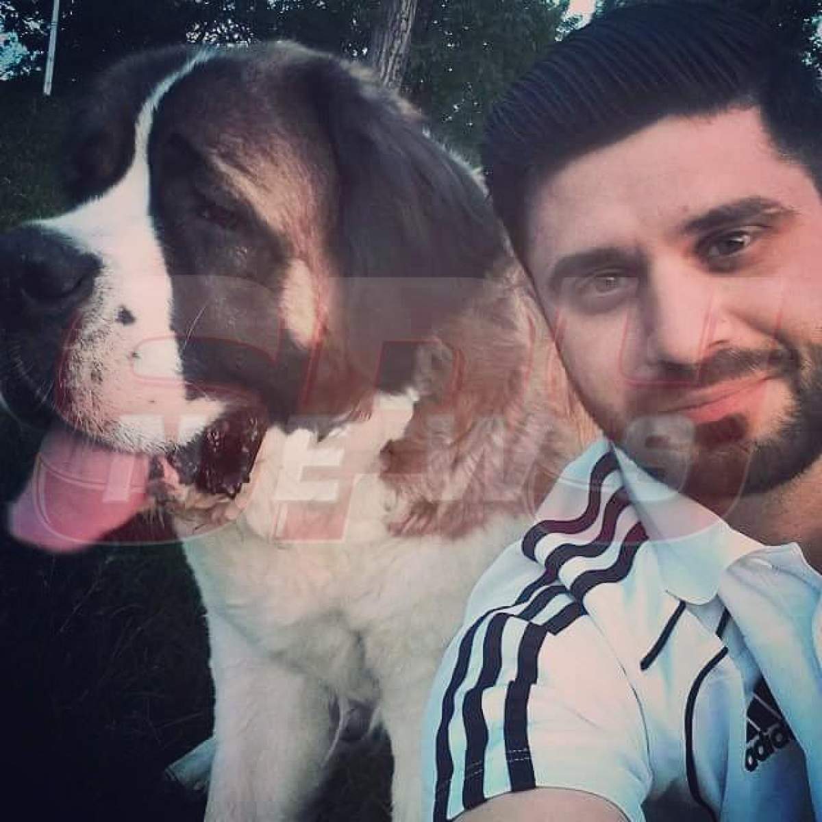 VIDEO / Ce i-au făcut poliţiştii comunitari unei vedete de la "Mireasă Pentru Fiul Meu"!