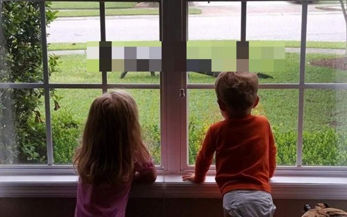 Au avut ŞOCUL vieţii lor când au privit pe fereastră. Ce au văzut i-a făcut să ÎNGHEŢE INIMA în ei