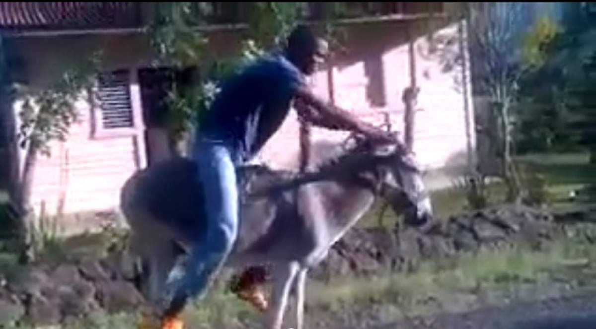 VIDEO AMUZANT / Te-ai gândit vreodată că un măgar poate fi transformat într-o motocicletă?