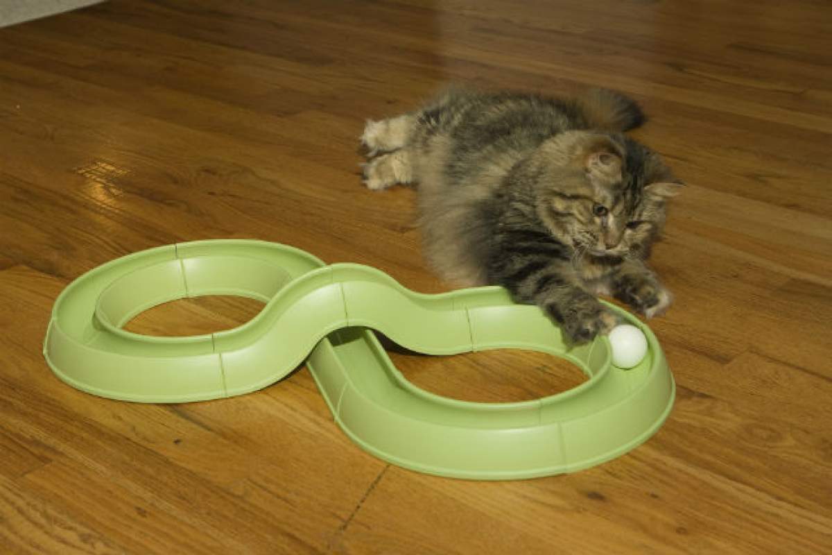 Pui pariu că aşa este? Opt lucruri pe care nu le ştiai până săptămâna trecută