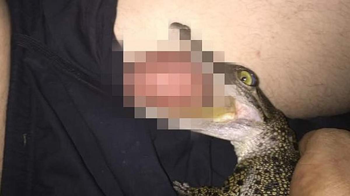 VIDEO / Un crocodil a atacat un bărbat în zona înghinală! Ce a urmat este desprins din filmele de groază