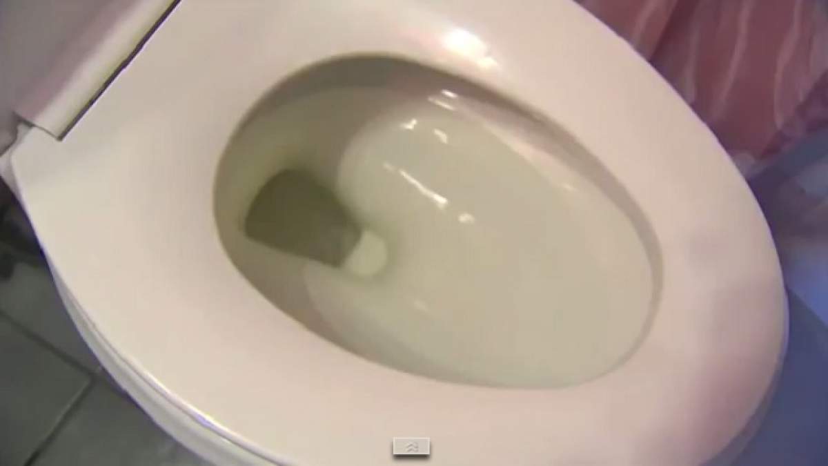 VIDEO / A crezut că a înfundat toaleta şi a chemat un instalator! Tânăra a avut un şoc când a aflat ce era acolo