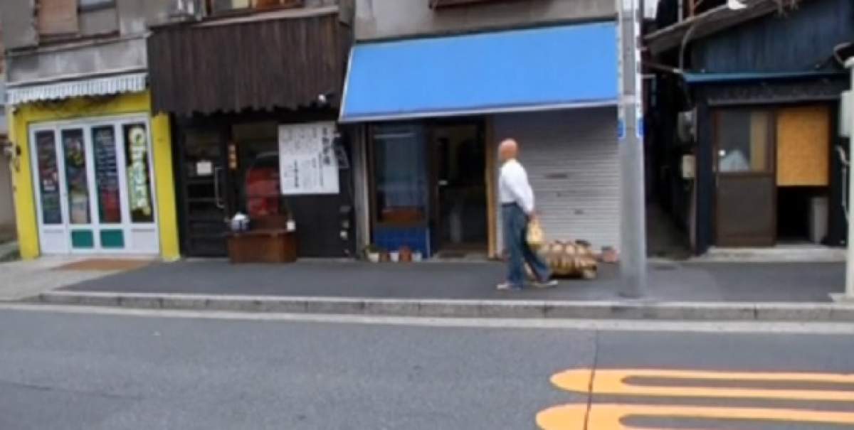 VIDEO / Atrage toate privirile când iese cu ea la plimbare! Ce animal de companie bizar are un bărbat din Tokyo
