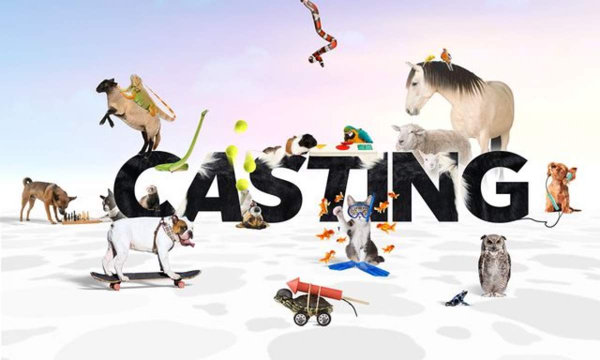 Antena 1 dă startul preselecţiilor pentru show-ul “Ham Talent”