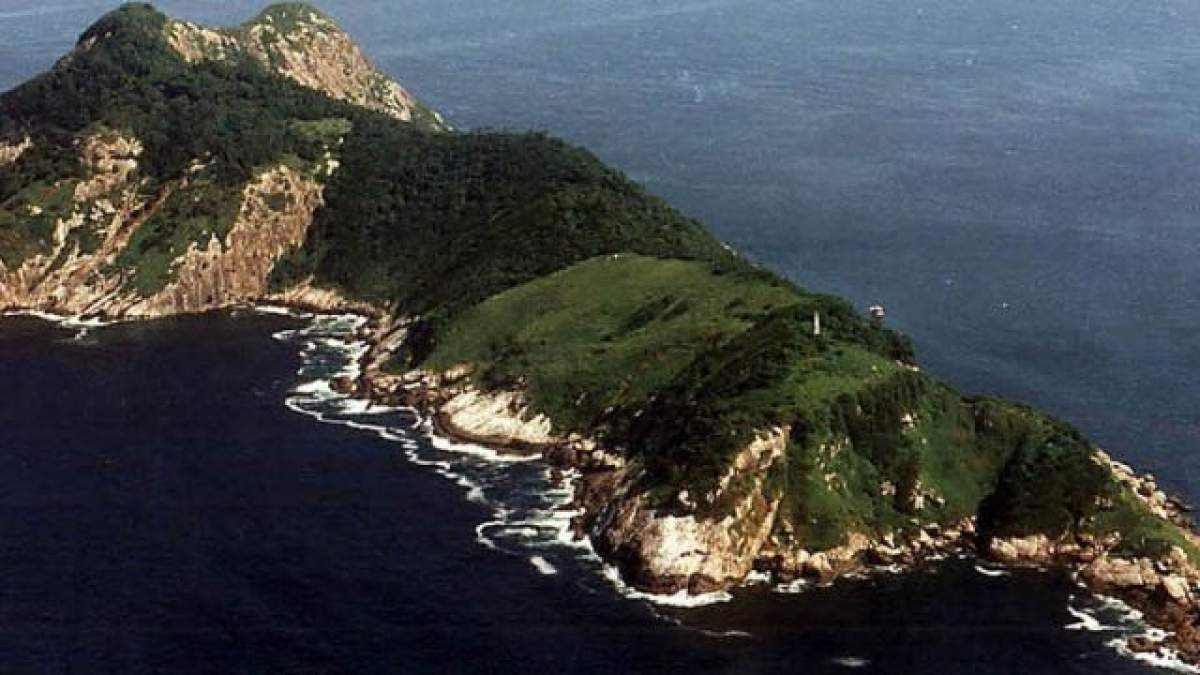 Ilha da Queimada Grande, cea mai periculoasă insulă din lume. E plină ochi de vipere aurii
