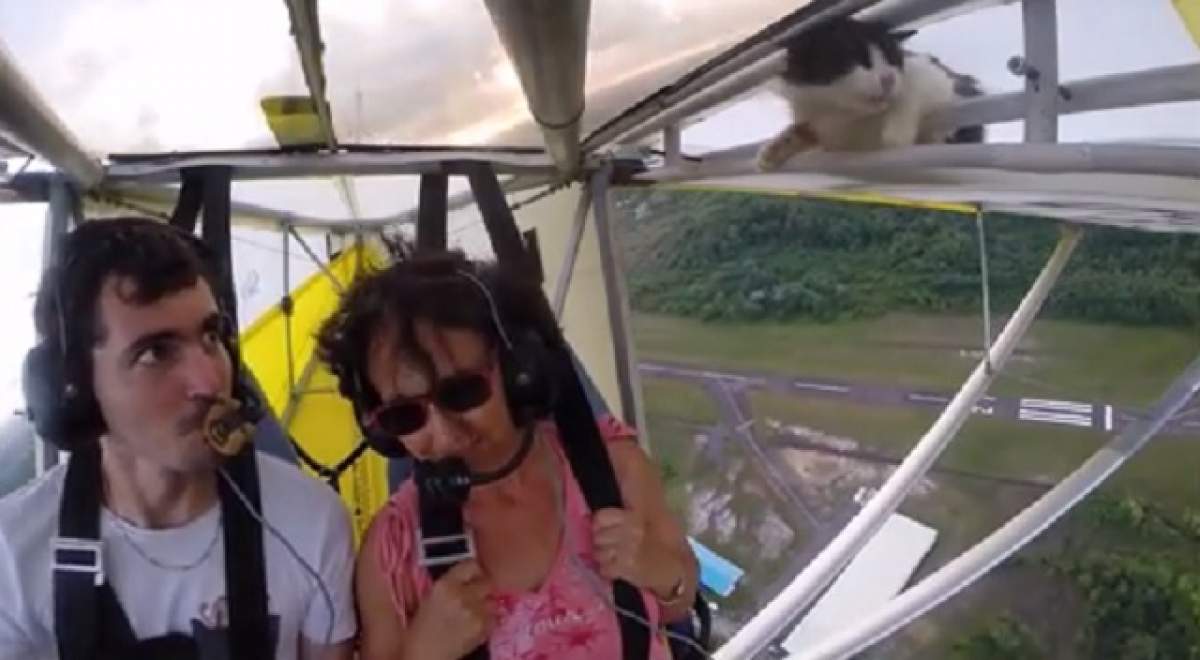 VIDEO / Au zburat la mare înălţime, iar o pisică a apărut din senin! Prin ce peripeţie au trecut doi tineri