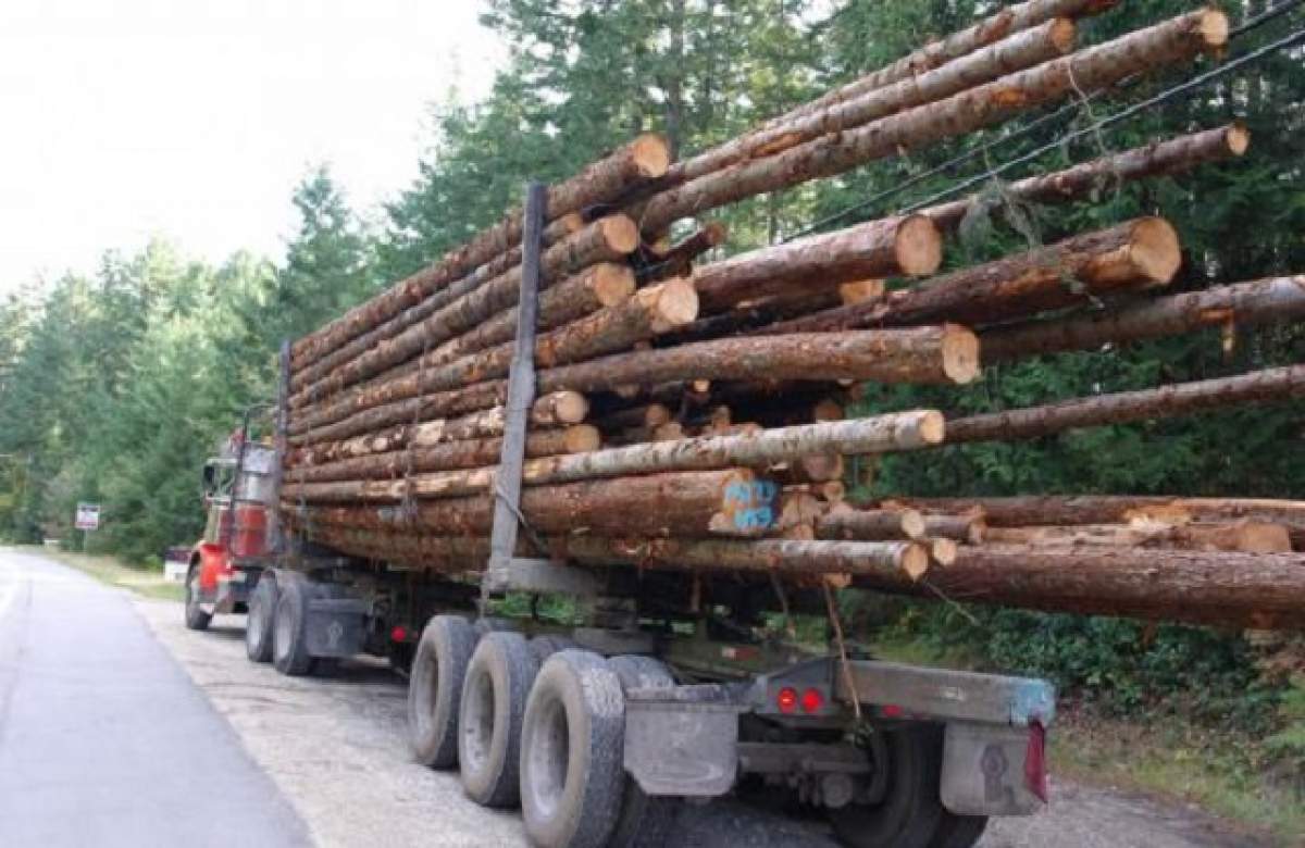 Groaznic! Un tânăr a fost strivit de un camion de lemne