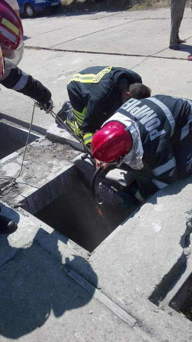 Un cal a căzut într-un canal din cartierul Militari din Bucureşti