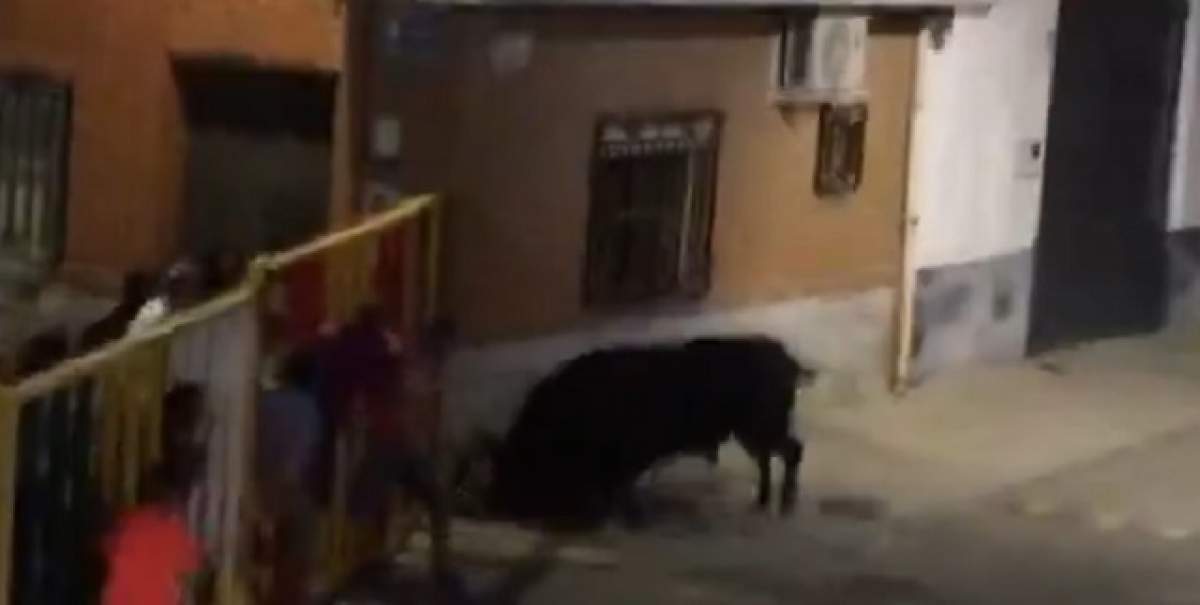 VIDEO ŞOCANT / Un bărbat a fost omorât de un taur în timp ce îşi făcea un SELFIE