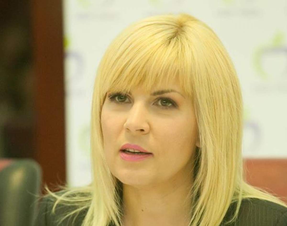 Elena Udrea sare la gâtul violatorilor de la Vaslui: "Castrare chimică şi închisoare pe viaţă"