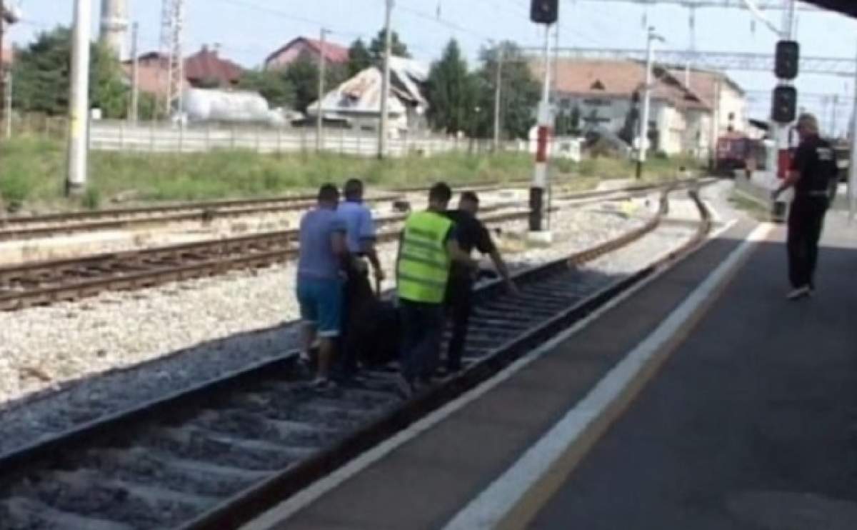 A fugit de la Psihiatrie în ghearele morţii! O femeie a fost decapitată de tren, în Gara Bistriţa