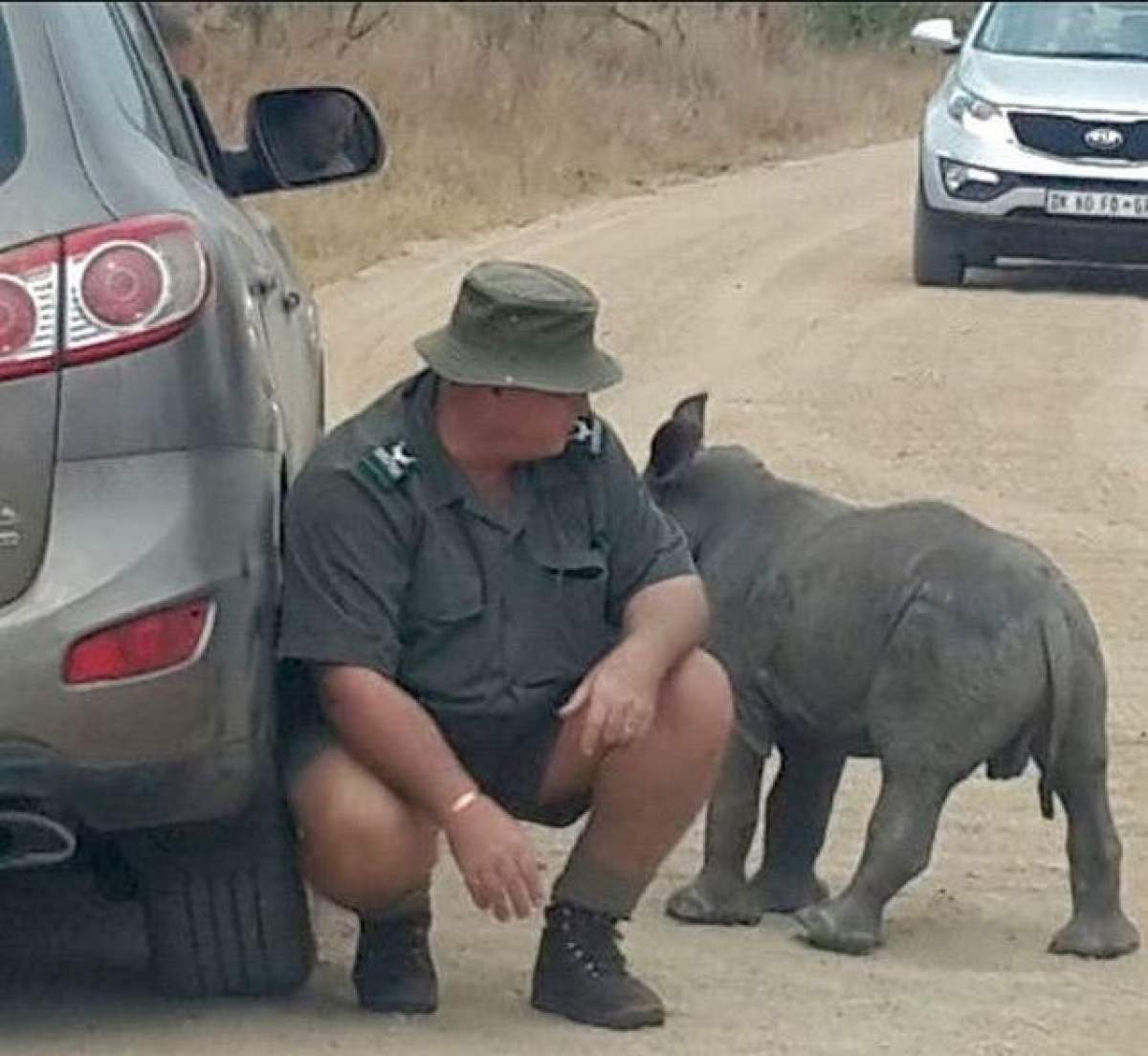 FOTO / Imaginile care îţi vor frânge inima! Un pui de rinocer orfan şi-a înlocuit mămica cu un jeep