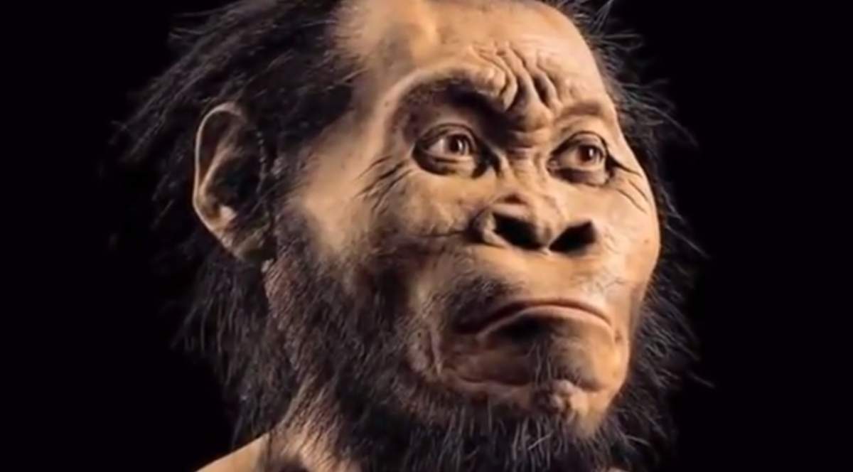 VIDEO /  O nouă specie de om preistoric a fost descoperită. HOMO NALEDI, între maimuța primitivă și omul modern