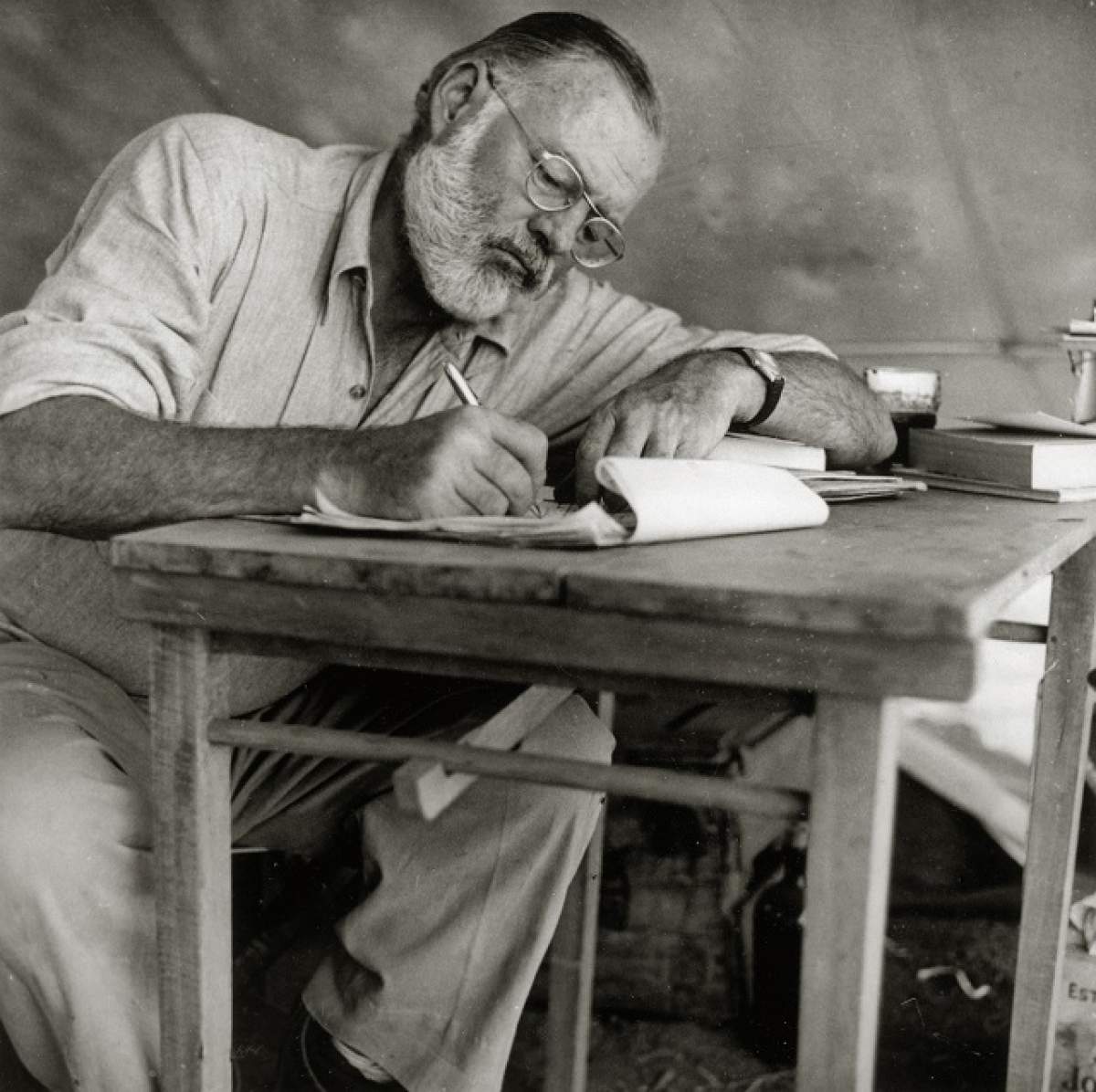 Fără urmă de pudoare! Strănepoata lui Ernest Hemingway, cu sânii la vedere pe internet