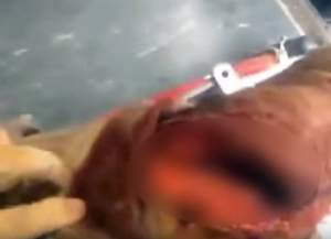 FOTO&VIDEO / Un scafandru a scăpat din colţii unui rechin, după ce a fost, pur şi simplu, sfâşiat. ATENŢIE, imagini care te pot afecta emoţional!
