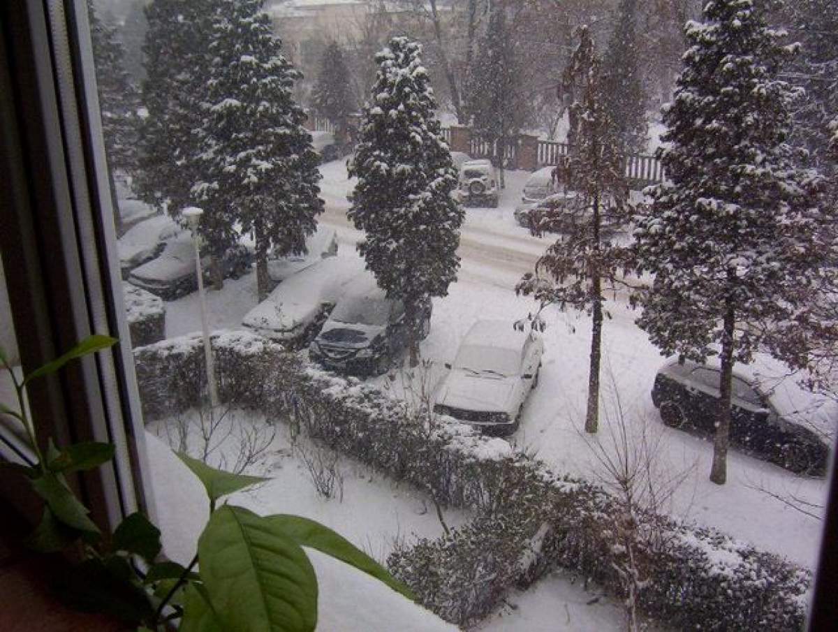 Prima ninsoare din România! Stratul de zăpadă are câţiva centimetri