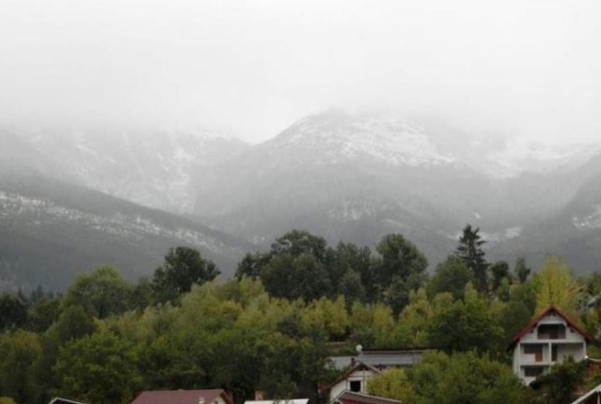 FOTO / Imagini cu prima ninsoare de anul acesta. Câţi centimetri are primul strat de zăpadă: "A nins viscolit"