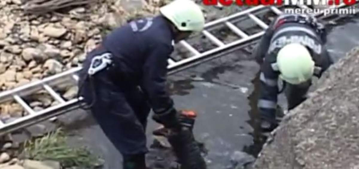 VIDEO DE GROAZĂ / Un bărbat a fost găsit MORT în râul Săsar! Ce au aflat poliţiştii până acum
