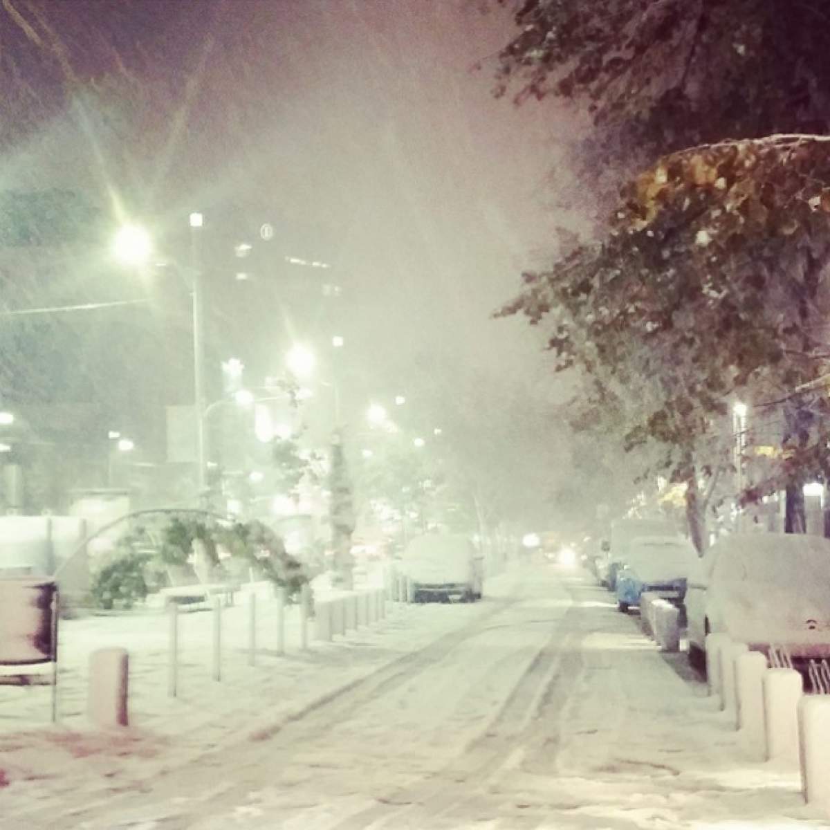 ULTIMĂ ORĂ! COD PORTOCALIU de NINSORI, VISCOL şi VÂNT, emis de meteorologi. Care sunt regiunile vizate?