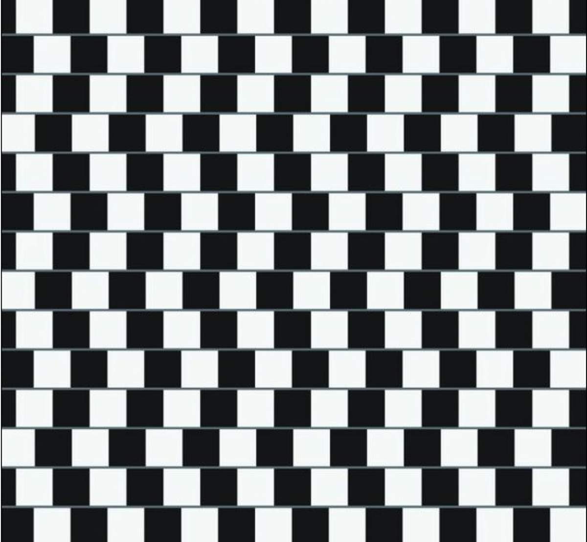 Această iluzie optică a ISTERIZAT internetul. Tu ce vezi în imagine?