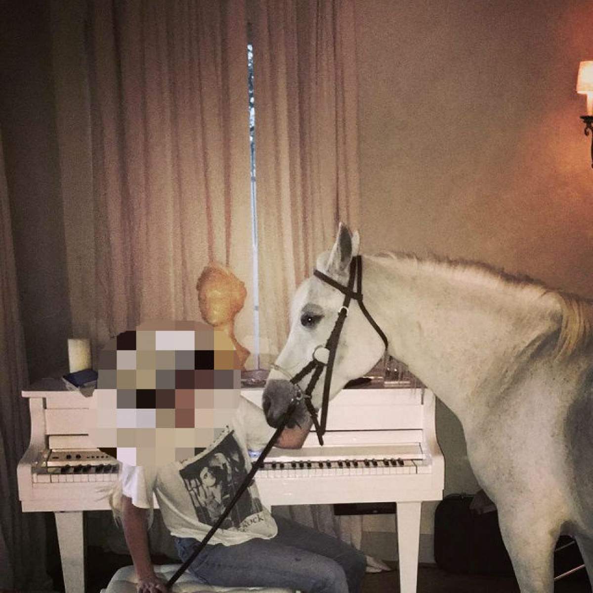 O vedetă a băgat calul în casă şi s-a fotografiat cu el! Despre cine este vorba?