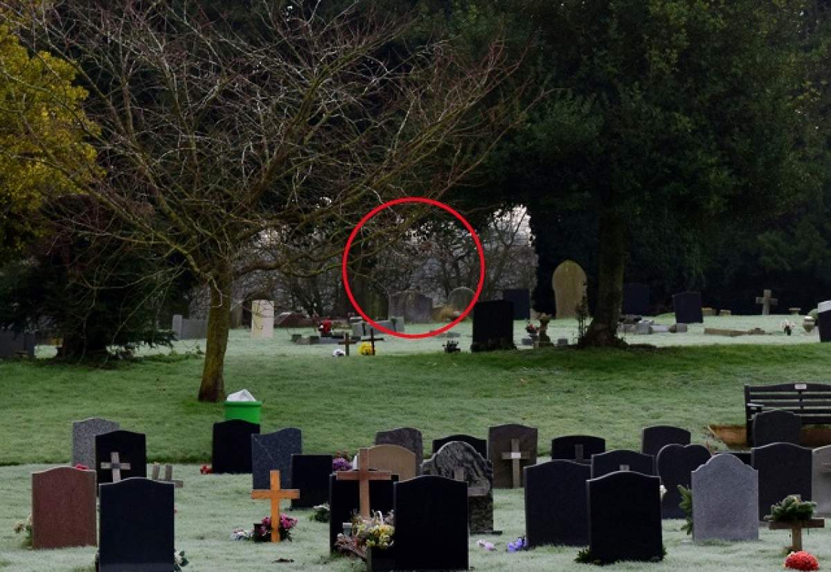 Voia să surprindă o dimineață cețoasă, dar a făcut fotografia vieții sale în cimitir. Un fotograf amator a devenit cunoscut în toată lumea