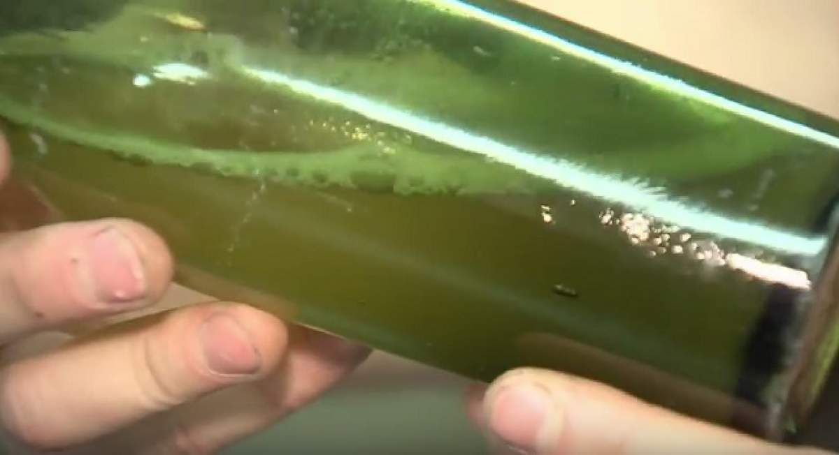 VIDEO / A găsit în adâncul Atlanticului o sticlă de bere veche de 120 de ani. Ce era înăuntru i-a uimit pe toţi