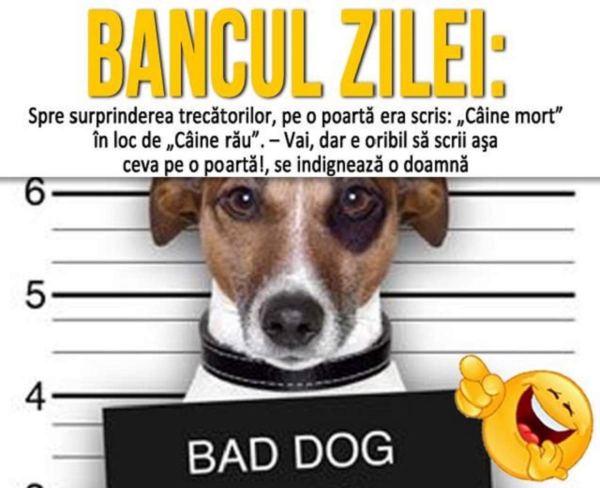 BANCUL ZILEI: Sâmbătă - Spre surprinderea trecătorilor, pe o poartă era scris: „Câine mort” în loc de „Câine rău”