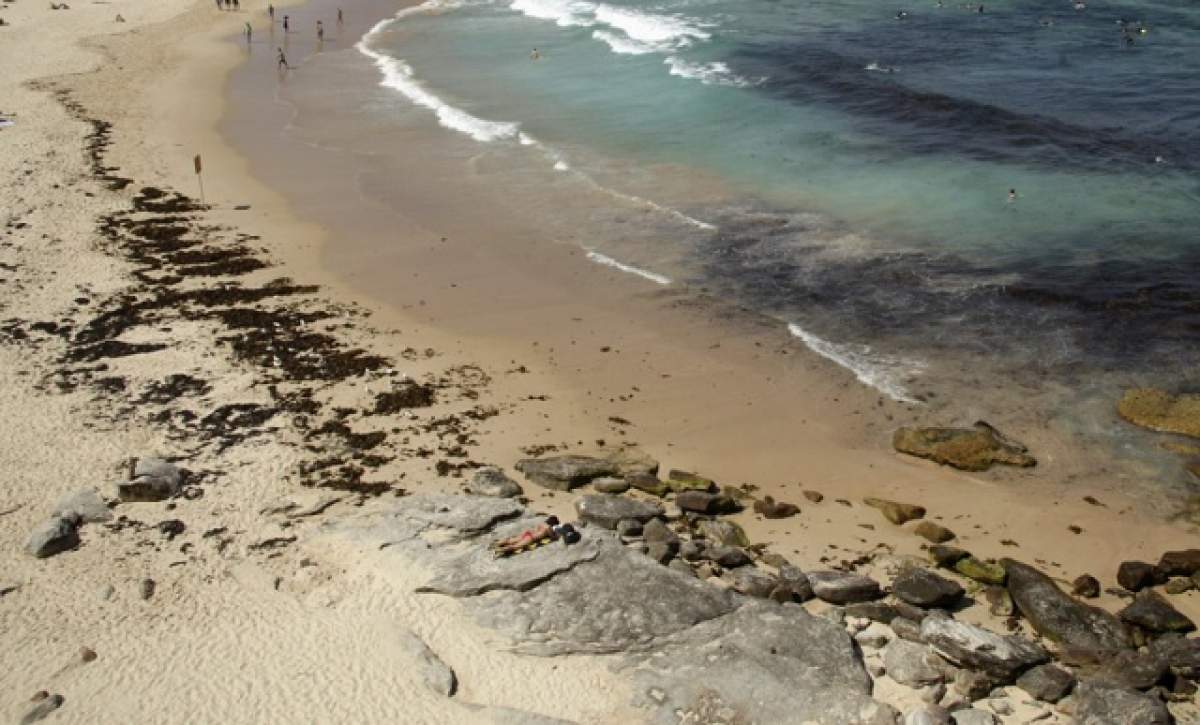 Un cadavru a fost găsit pe o plajă din Constanţa