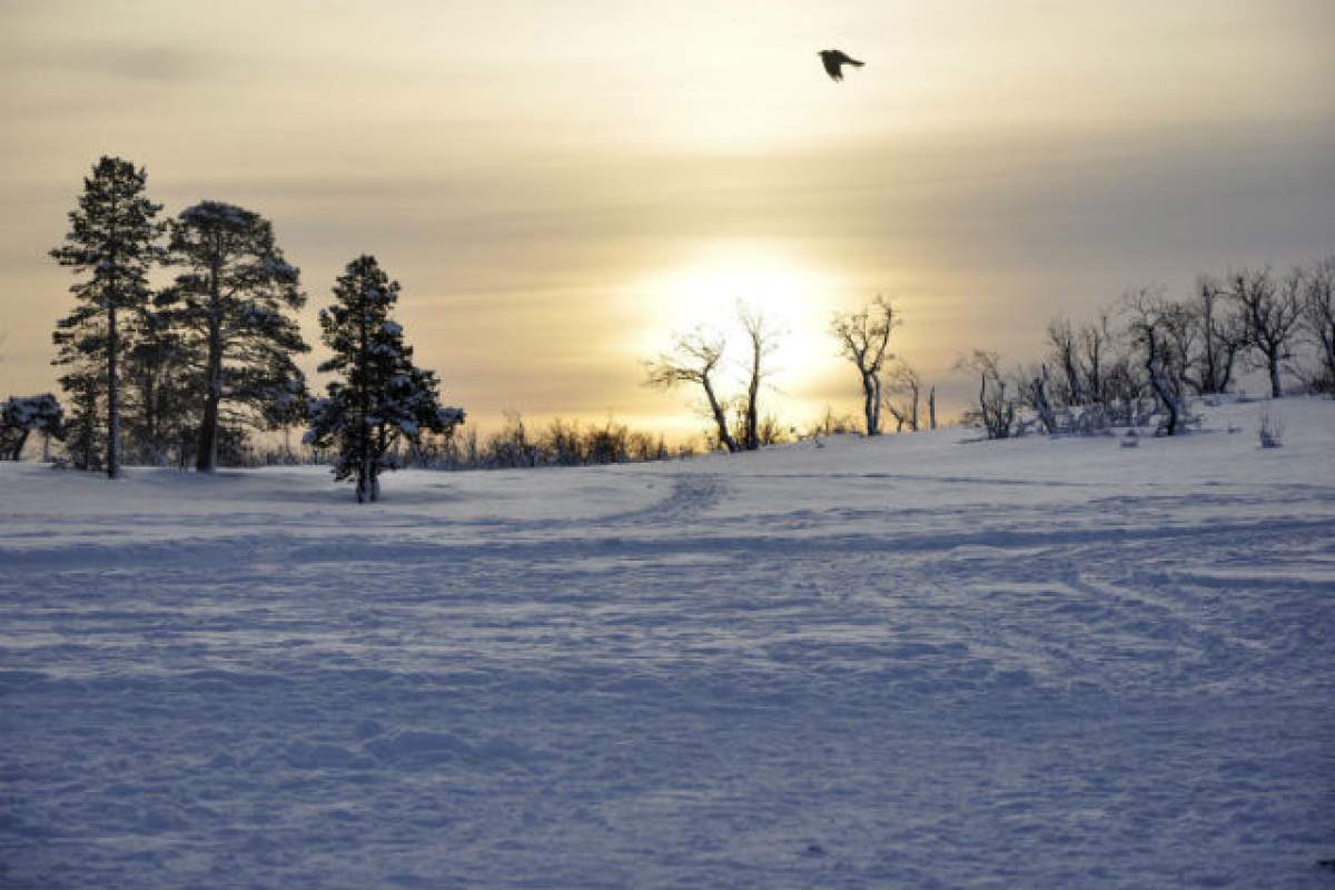 VIDEO / Iarna ia locul toamnei! Meteorologii au dat avertismente clare! Va fi lapoviţă şi ninsoare