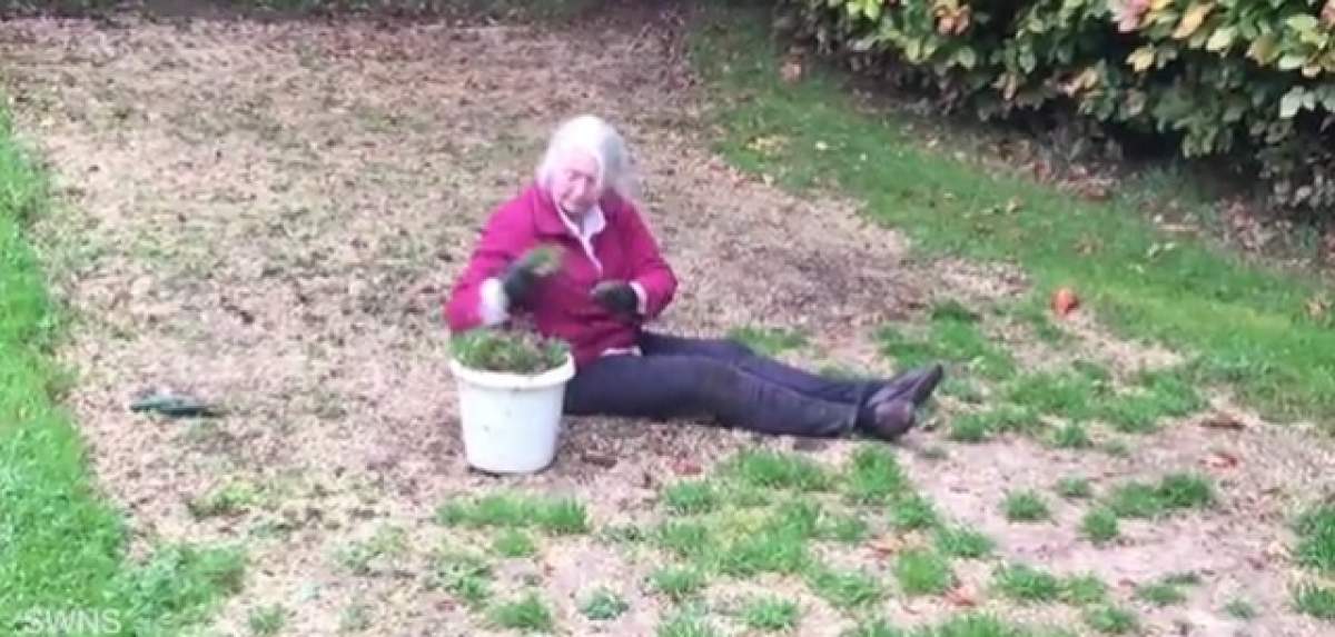 VIDEO / O femeie de 70 de ani a  fost prinsă în timp ce fura gazon. Ce le-a spus poliţiştilor e incredibil