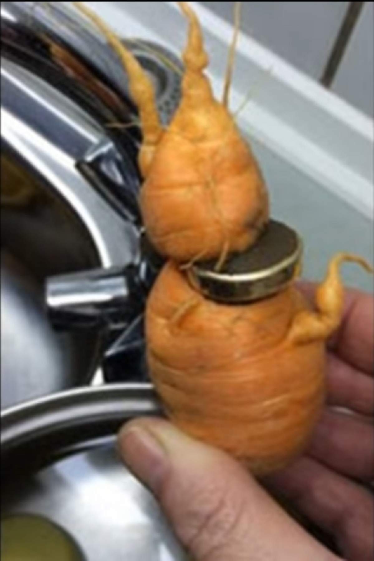 Un bărbat şi-a găsit cel mai preţios lucru într-un morcov. Ce se ascundea în legumă?