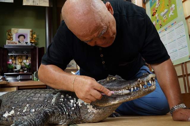 FOTO / Acest pensionar are un animal de companie mai puţin obişnuit. Când iese cu el la plimbare, toţi rămân mască