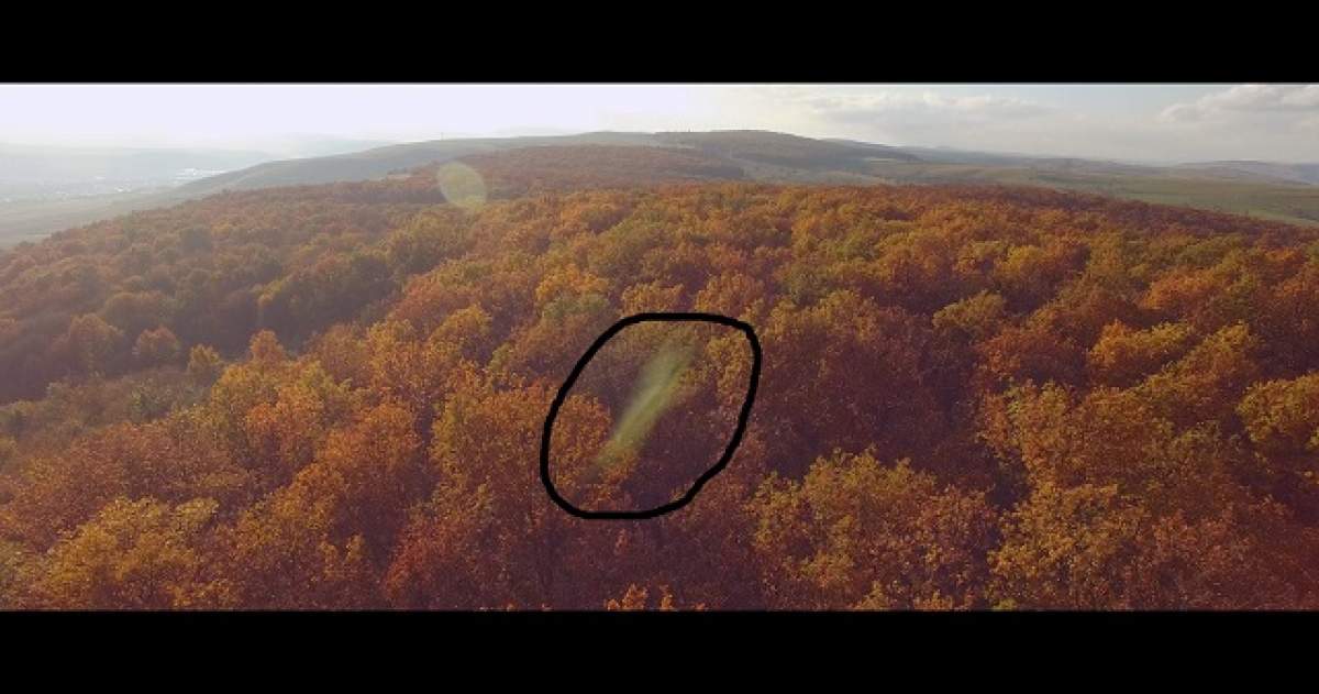 VIDEO / Fenomen straniu surprins în Pădurea Baciu. Aşa ceva nu ai mai văzut!