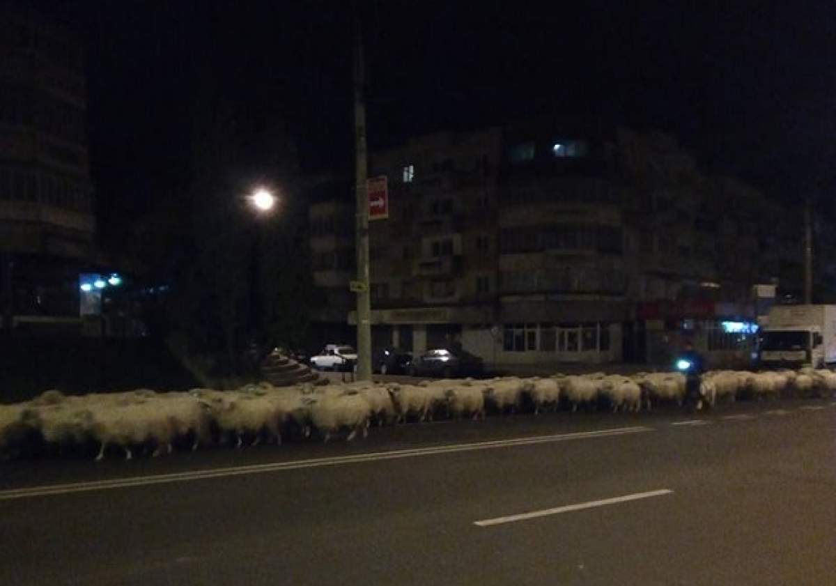 VIDEO / Imaginile care au scos din minţi mii de şoferi!