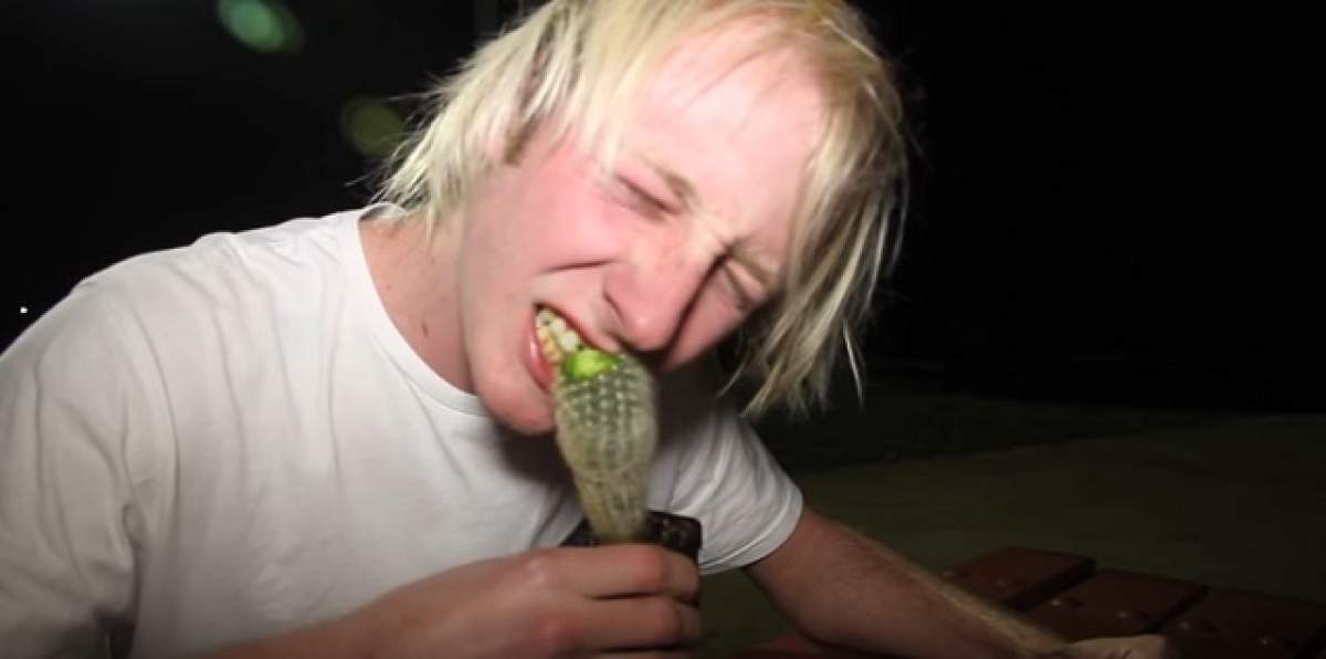 VIDEO / Provocarea care l-a lăsat cu gura praf! A mâncat un CACTUS întreg