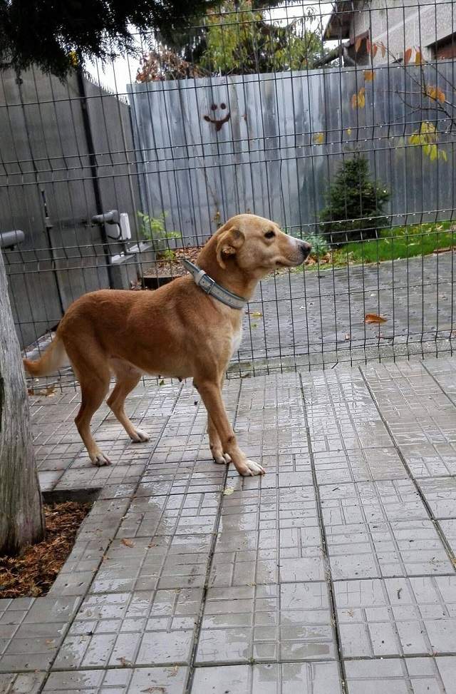 FOTO / Mare bucurie pentru Nico. De curând, familia cântăreţei s-a mărit