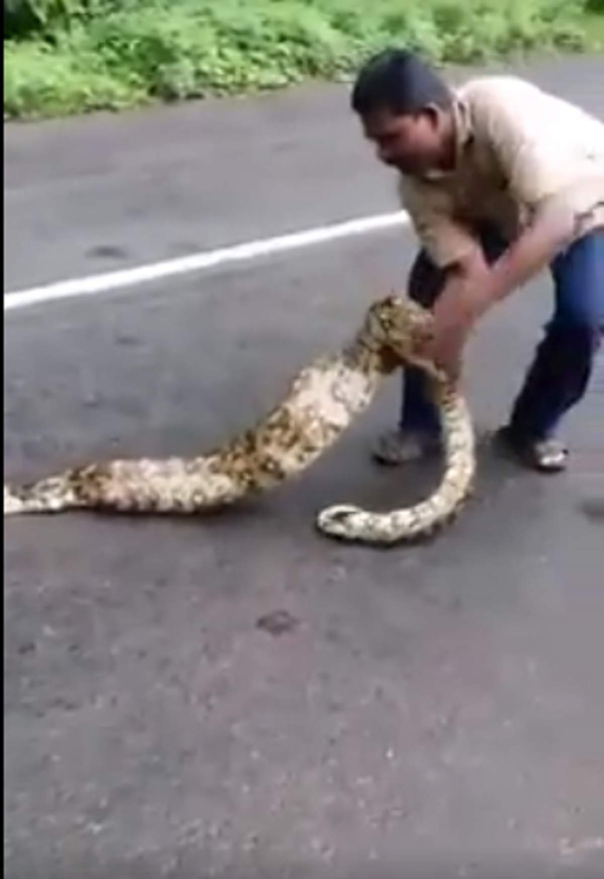 VIDEO / Chiar este posibil aşa ceva? Uite ce a reuşit să scoată un bărbat din burta unui şarpe!
